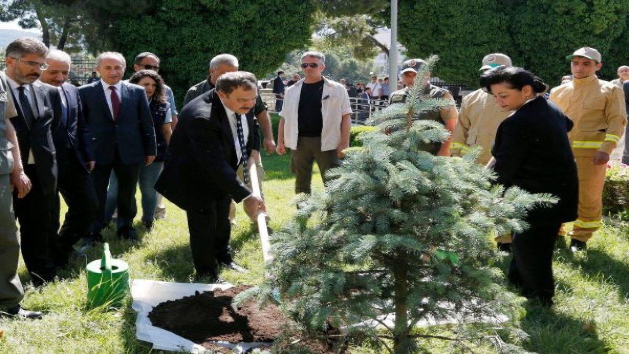 5 BİN KÖYE 5 BİN GELİR GETİRİCİ ORMAN KURULUYOR