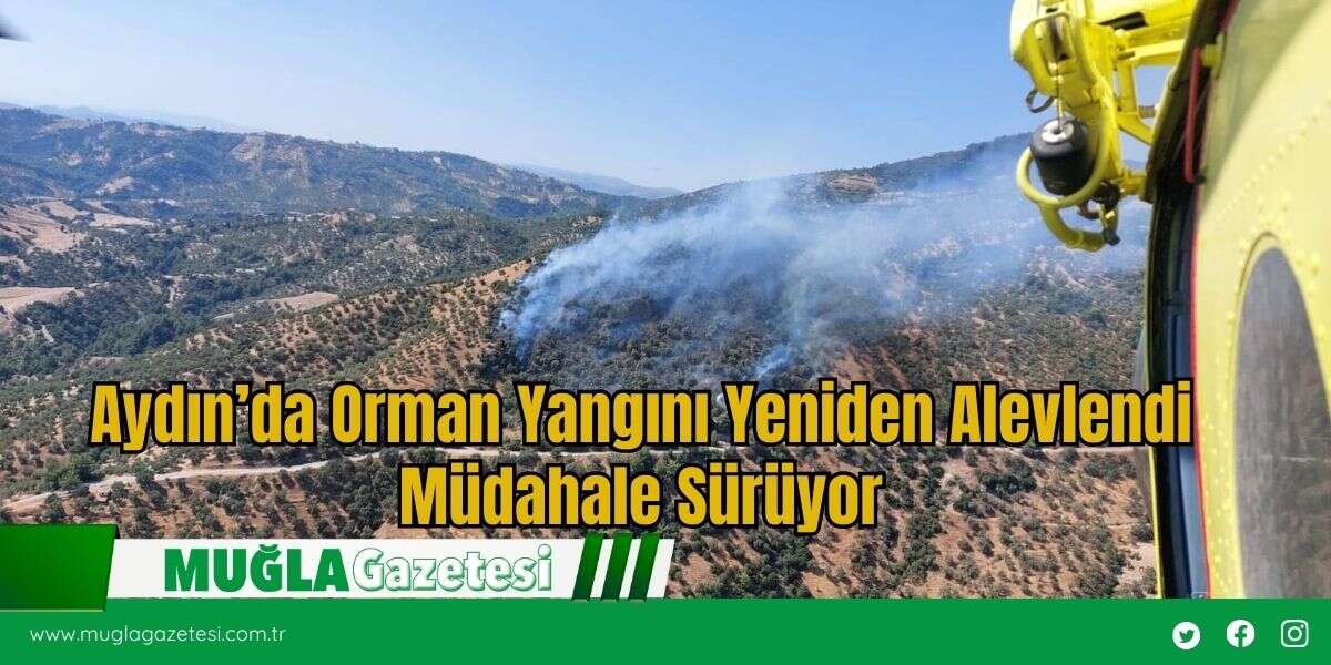 Aydın’da Orman Yangını Yeniden Alevlendi Müdahale Sürüyor