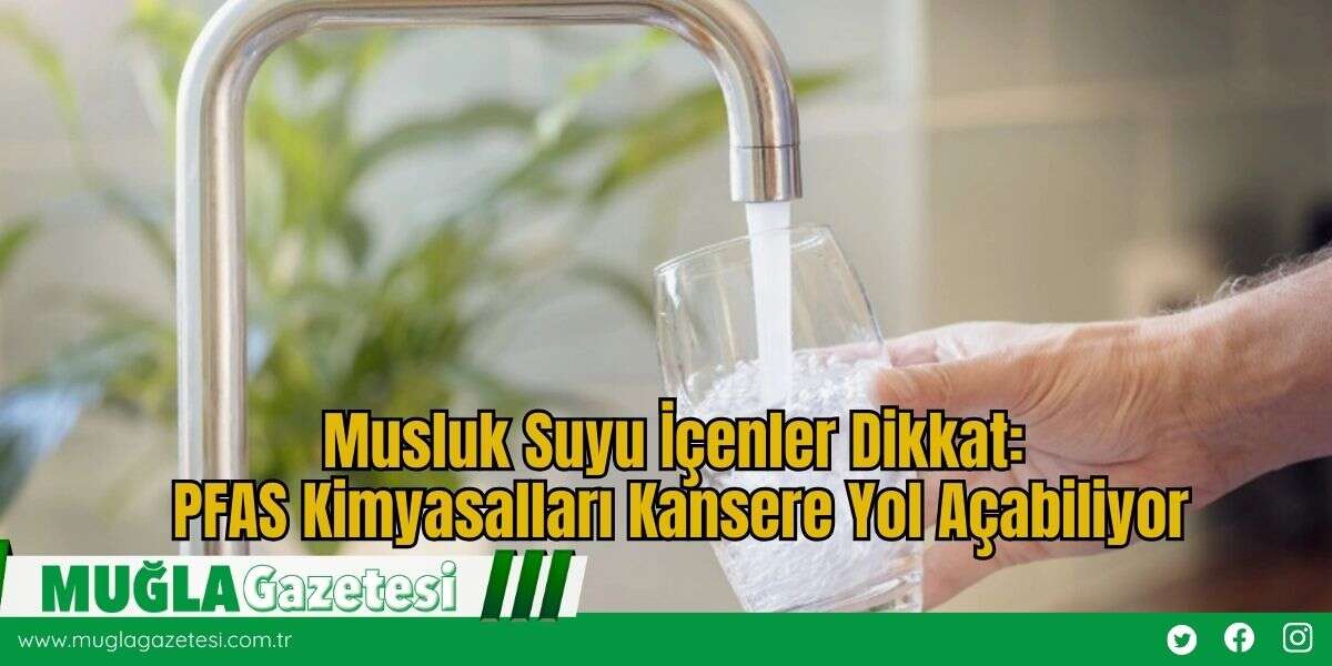 Musluk Suyu İçenler Dikkat: PFAS Kimyasalları Kansere Yol Açabiliyor