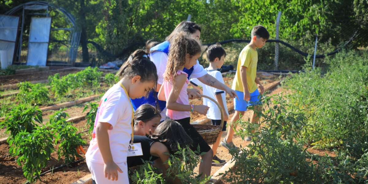 Muğla’da “Topraktan Sofraya” Projesiyle Çocuklar Hasat Sevinci Yaşadı