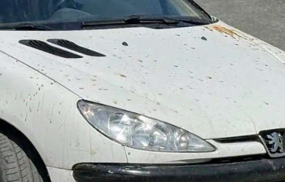 Muğla'da Otomobildeki Kırmızı Lekeler Polisi Alarma Geçirdi