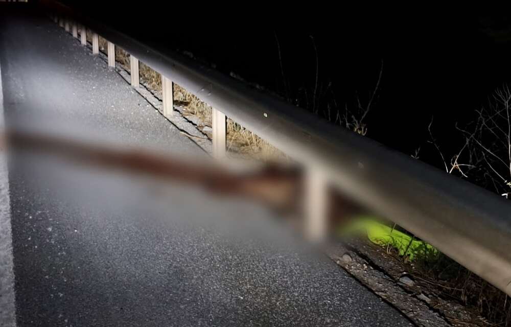 Menteşe'de Domuz Kazaya Neden Oldu