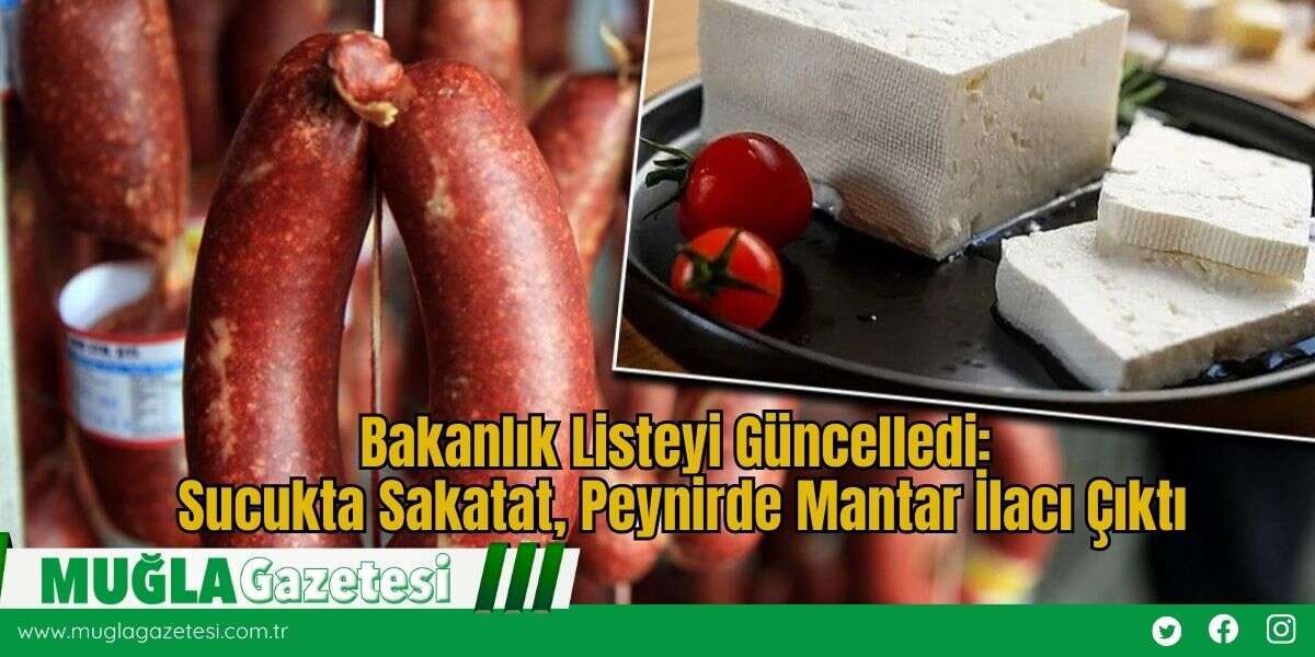 Bakanlık Listeyi Güncelledi: Sucukta Sakatat, Peynirde Mantar İlacı Çıktı
