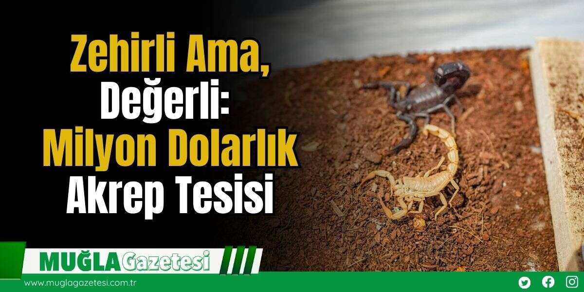 Zehirli Ama Değerli: Milyon Dolarlık Akrep Tesisi
