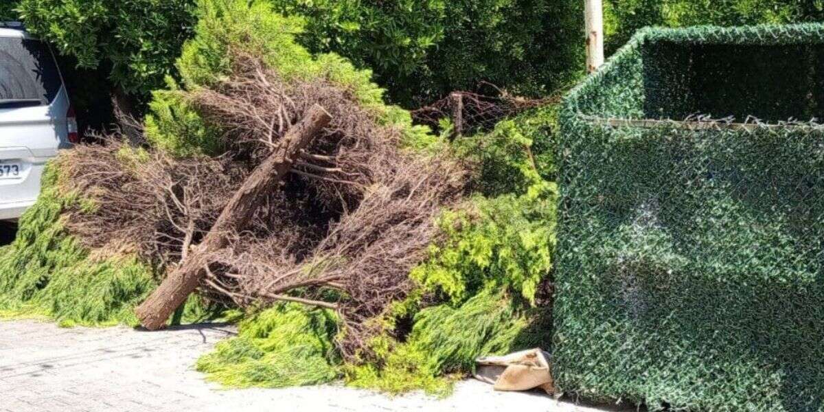 Temiz Bir Marmaris İçin Yeni Uygulama