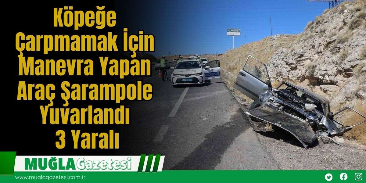 Köpeğe Çarpmamak İçin Manevra Yapan Araç Şarampole Yuvarlandı: 3 Yaralı