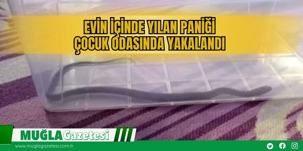 Evin İçinde Yılan Paniği: Çocuk Odasında Yakalandı
