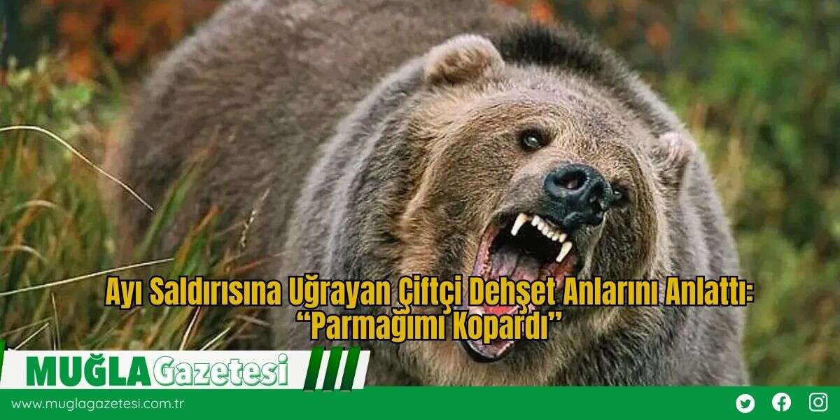 Ayı Saldırısına Uğrayan Çiftçi Dehşet Anlarını Anlattı: “Parmağımı Kopardı”