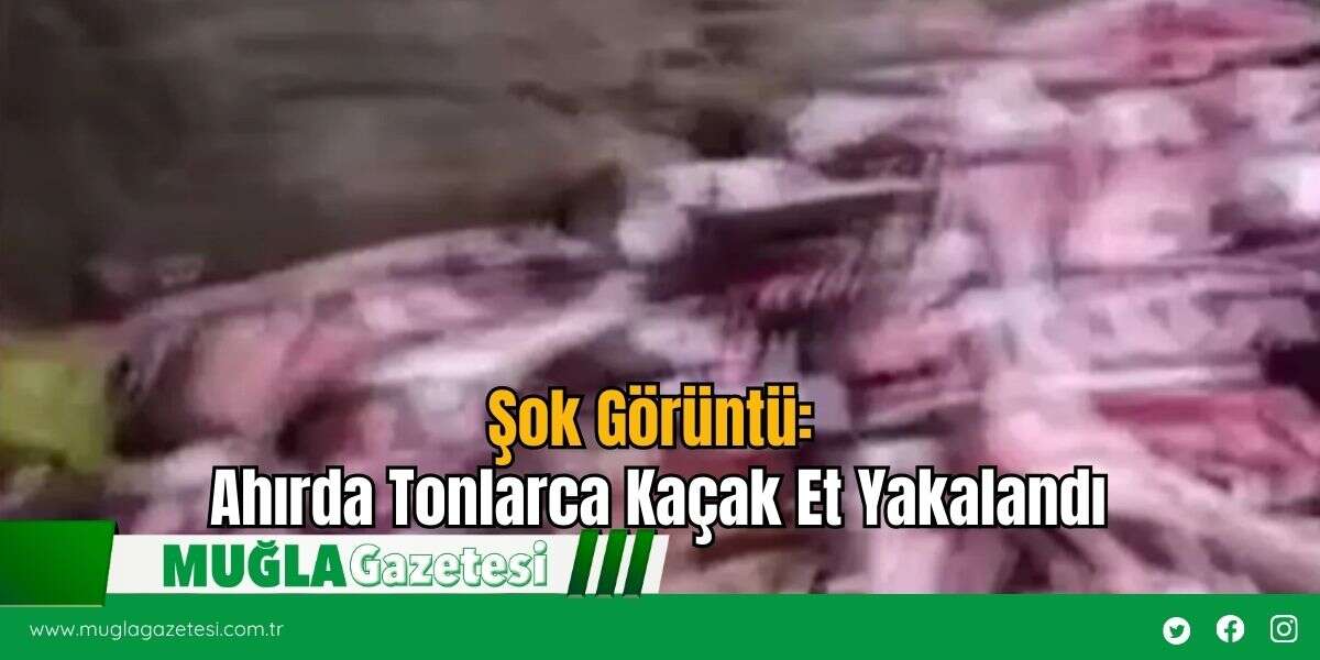 Şok Görüntü: Ahırda Tonlarca Kaçak Et Yakalandı