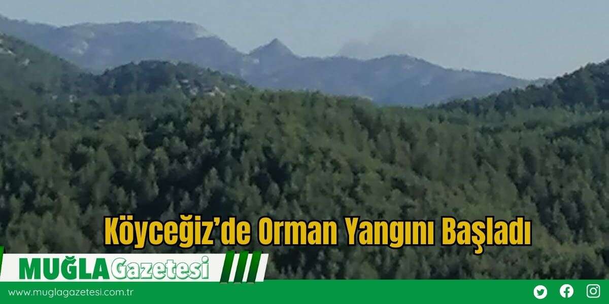 Köyceğiz’de Orman Yangını Başladı
