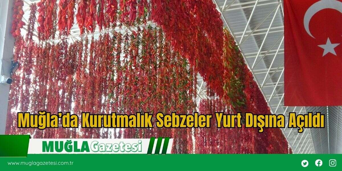 Muğla’da Kurutmalık Sebzeler Yurt Dışına Açıldı
