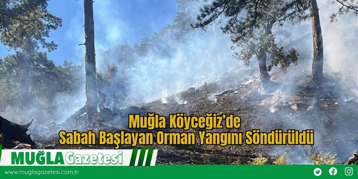 Muğla Köyceğiz’de Sabah Başlayan Orman Yangını Söndürüldü