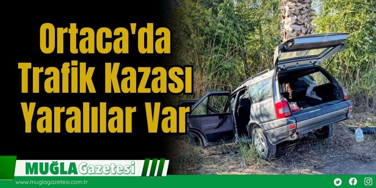 Muğla'da Otomobil Palmiye Ağacına Çarptı: Yaralılar Var
