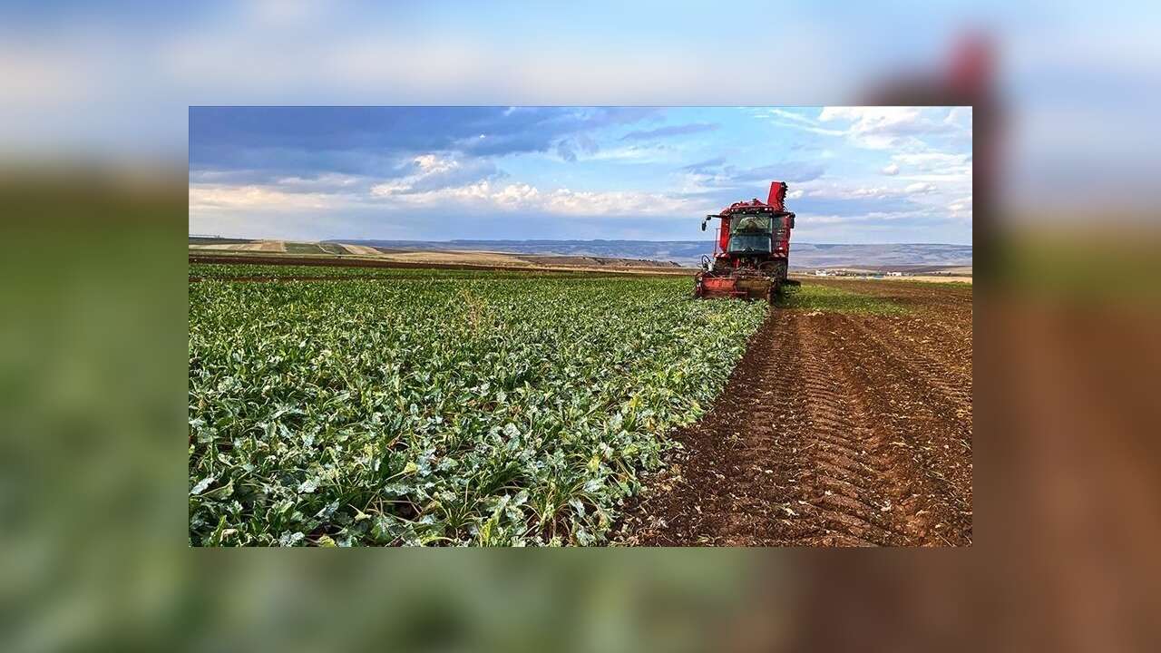 TKDK’dan Çiftçilere ve Kırsal İşletmelere 2025 Yatırım Desteği: Dokuzuncu Başvuru Çağrısı Başladı