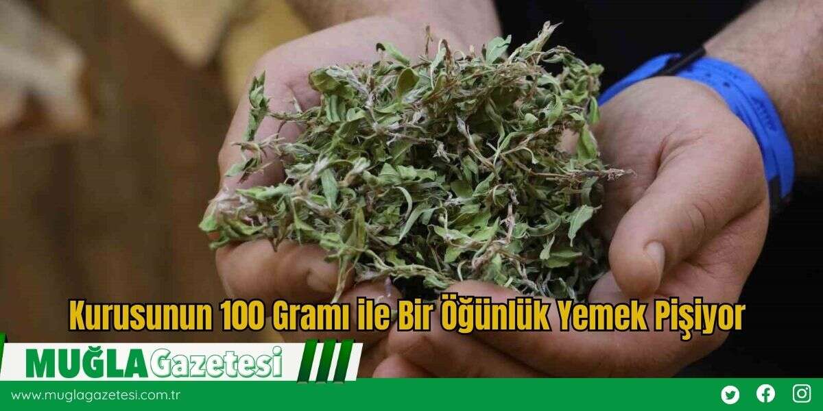 Kurusunun 100 Gramı ile Bir Öğünlük Yemek Pişiyor