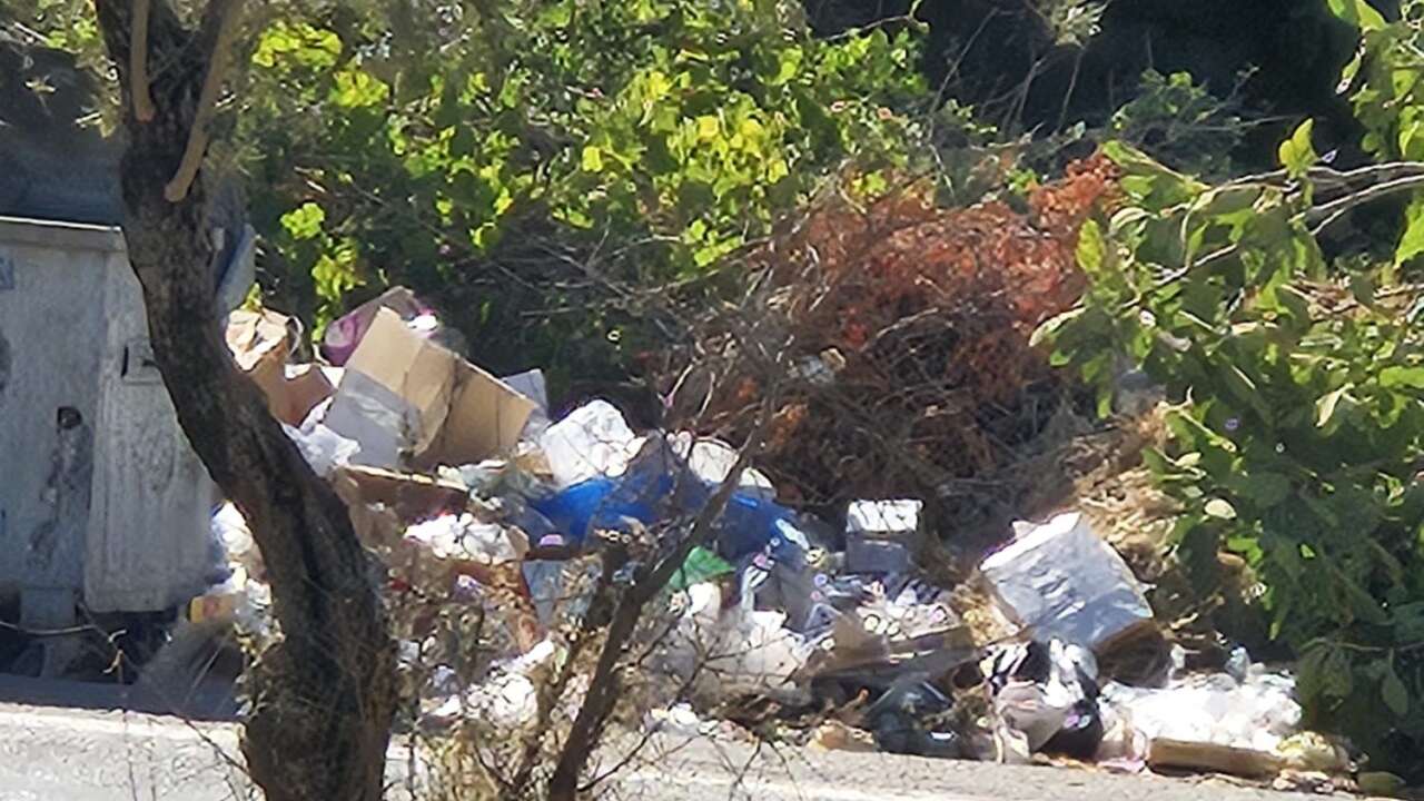 Menteşe’de Çöp Kutusu Şikâyeti: “İki Gündür Alınmadı, Sinek Kaynıyor”