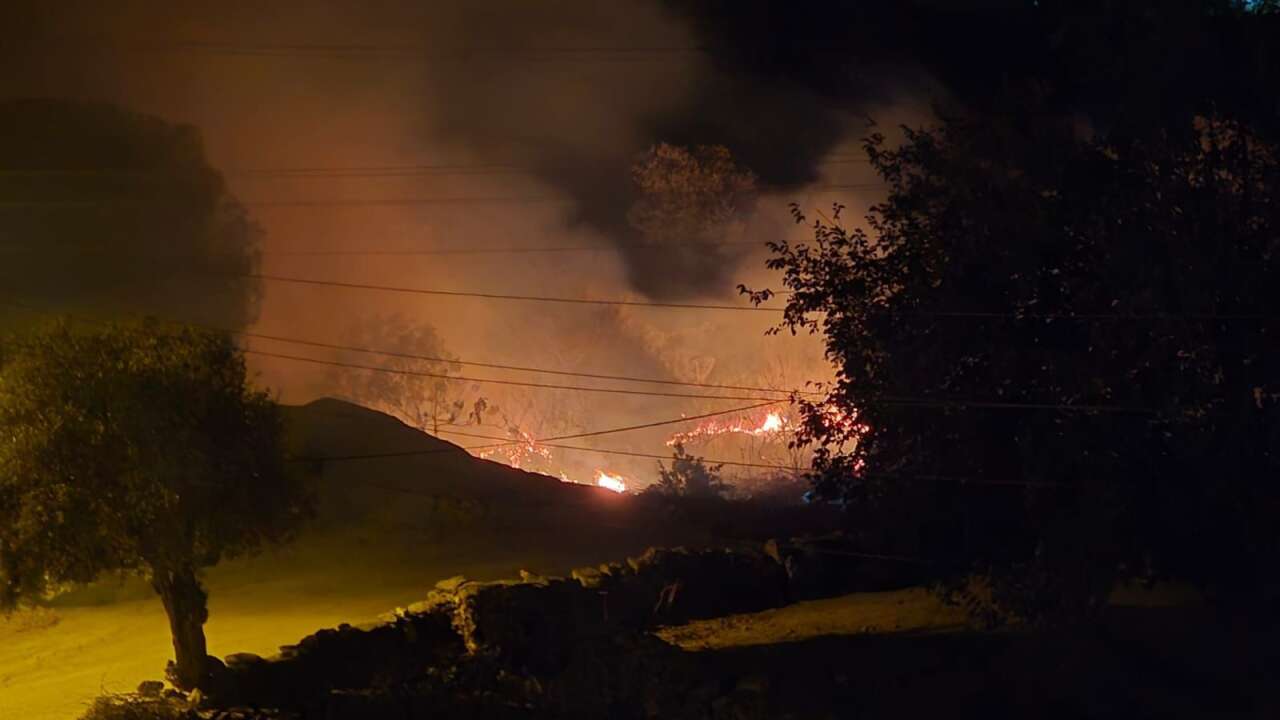 Muğla Milas’ta Sazlık Yangını Hızlı Müdahale ile Kontrol Altına Alındı