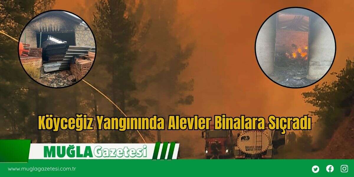 Köyceğiz Yangınında Alevler Binalara Sıçradı