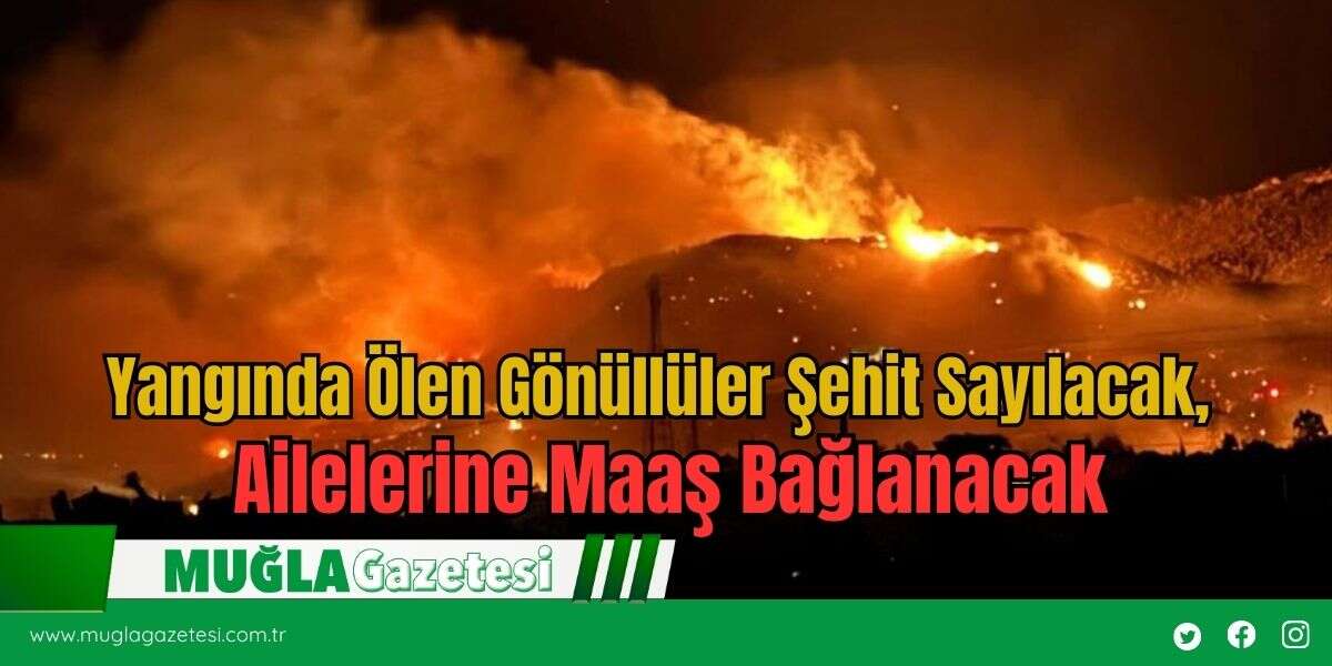 Yangında Ölen Gönüllüler Şehit Sayılacak, Ailelerine Maaş Bağlanacak