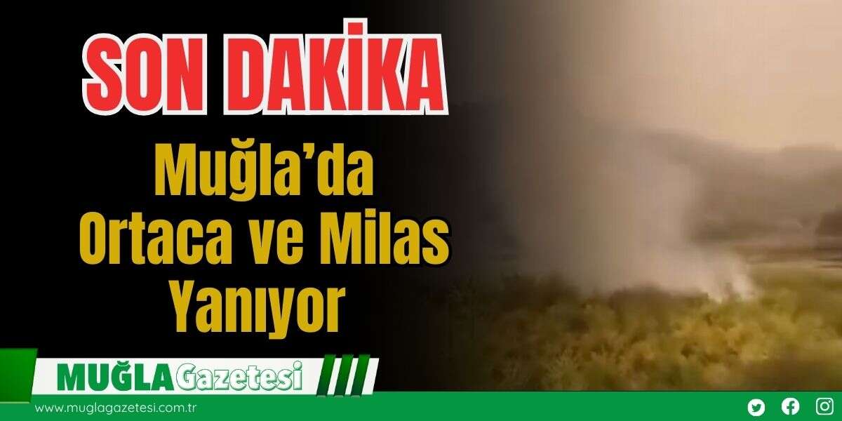 SON DAKİKA: Muğla’da, Ortaca ve Milas Yanıyor