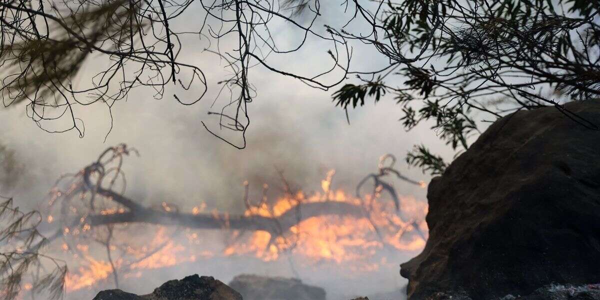 Bakan Yumaklı: Milas’taki Yangının Enerjisi Düşürüldü