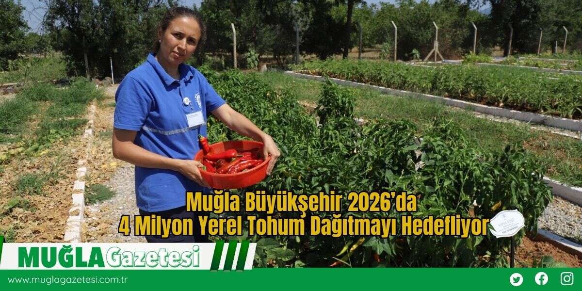 Muğla Büyükşehir 2026’da 4 Milyon Yerel Tohum Dağıtmayı Hedefliyor