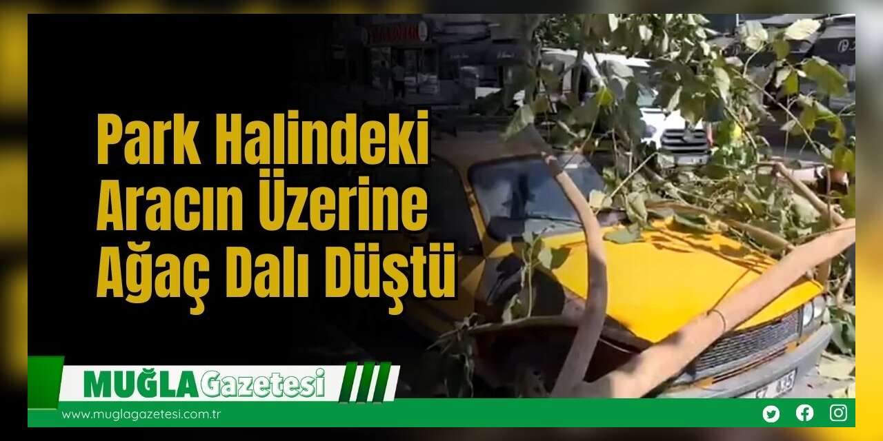 Park Halindeki Aracın Üzerine Ağaç Dalı Düştü