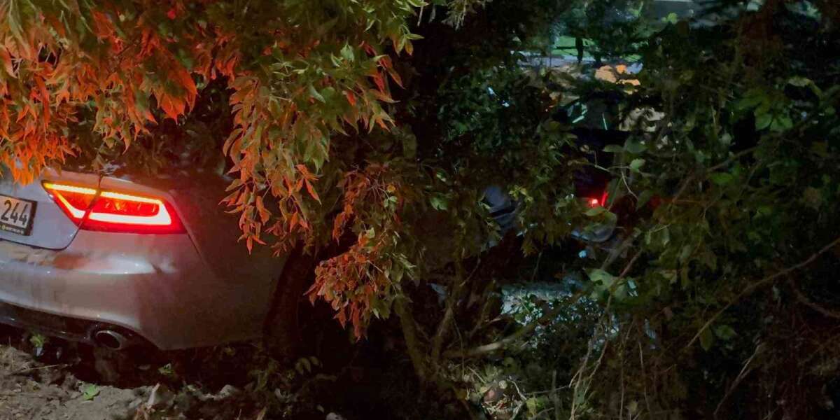 Polisi Görünce Kaçan Alkollü Sürücü Kaza Yaptı