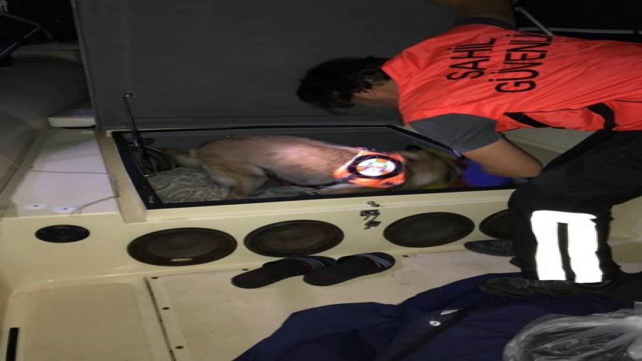 Datça’da uyuşturucu operasyonu