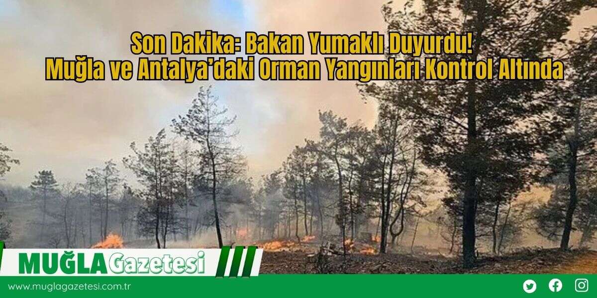 Son Dakika: Bakan Yumaklı Duyurdu! Muğla ve Antalya’daki Orman Yangınları Kontrol Altında