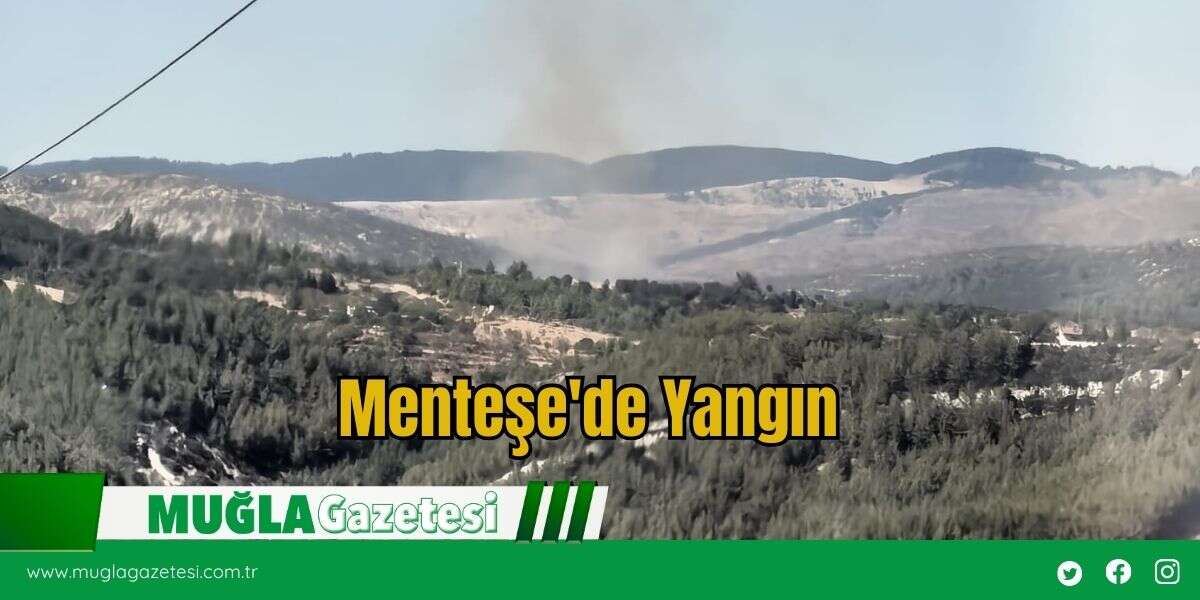 Menteşe'de Yangın