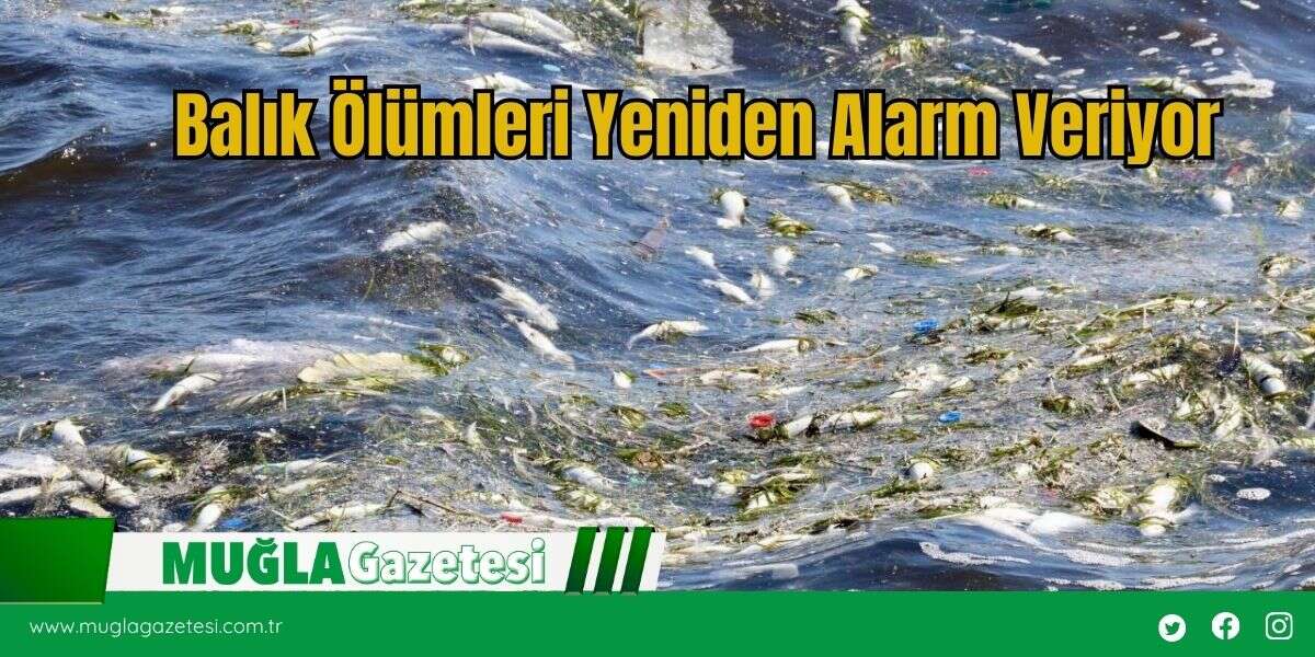 Balık Ölümleri Yeniden Alarm Veriyor