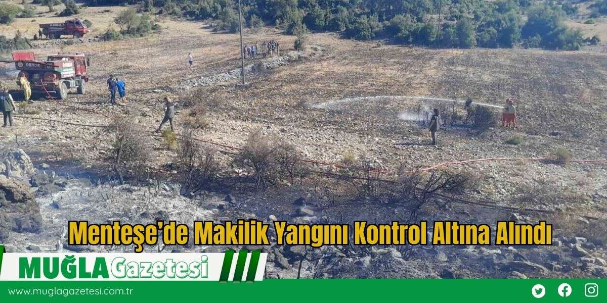 Menteşe’de Makilik Yangını Kontrol Altına Alındı