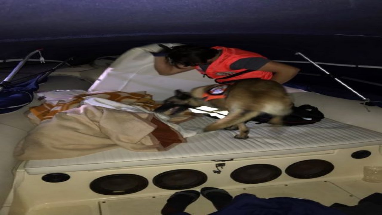 MİT’ten uyuşturucu operasyonu