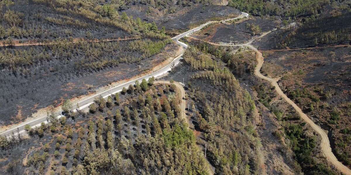 Köyceğiz’de Orman Yangınının Acı Bilançosu Havadan Görüntülendi
