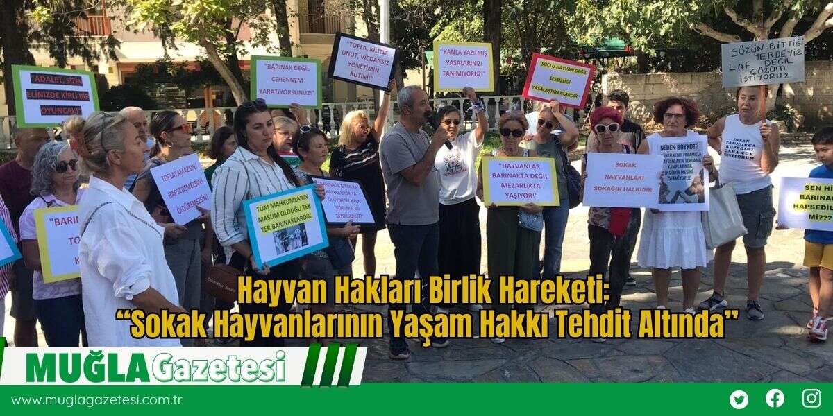 Hayvan Hakları Birlik Hareketi: “Sokak Hayvanlarının Yaşam Hakkı Tehdit Altında”