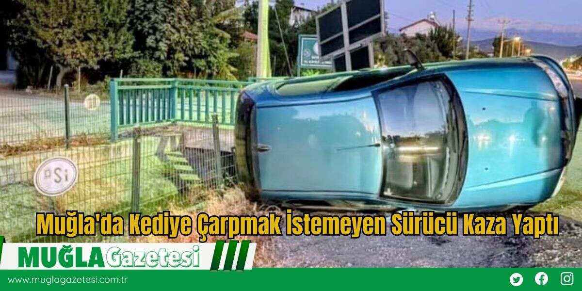 Muğla'da Kediye Çarpmak İstemeyen Sürücü Kaza Yaptı