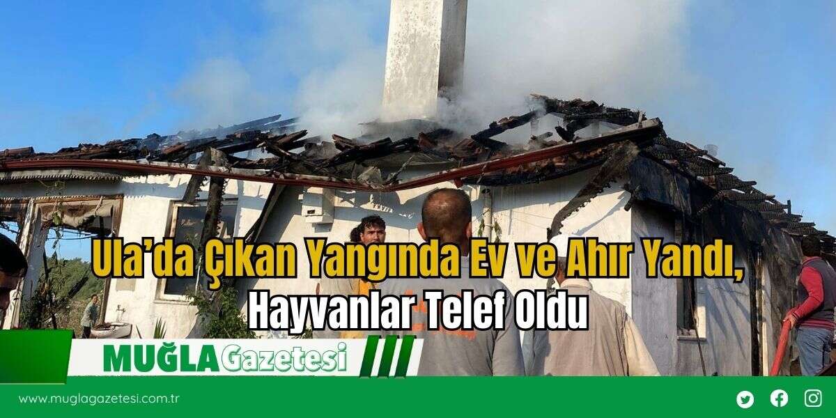 Ula’da Çıkan Yangında Ev ve Ahır Yandı, Hayvanlar Telef Oldu