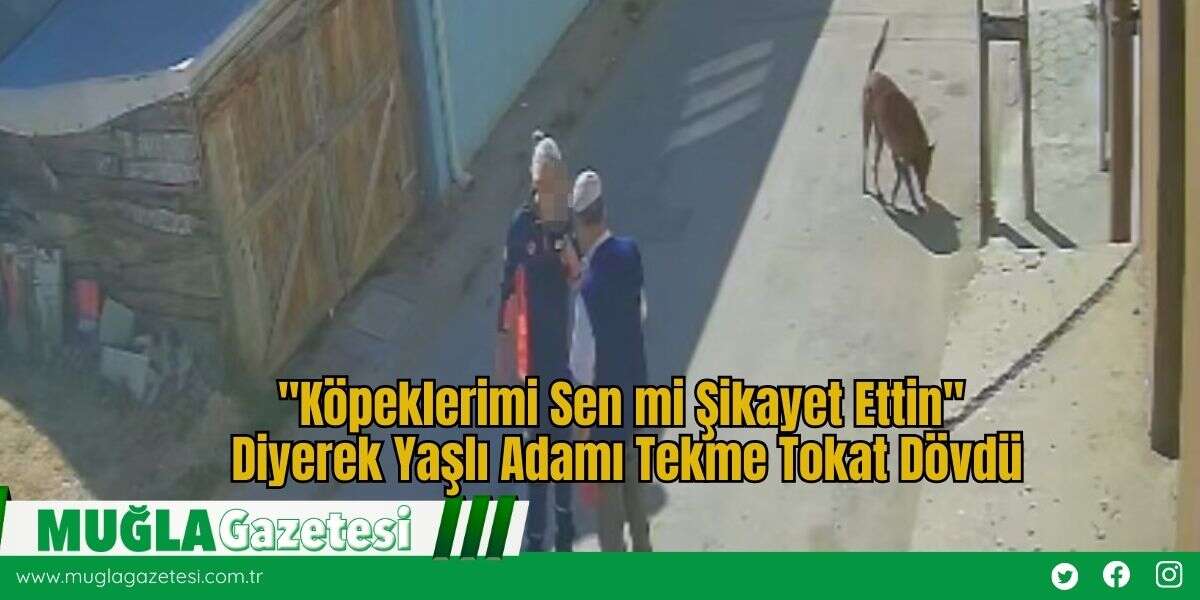 "Köpeklerimi Sen mi Şikayet Ettin" Diyerek Yaşlı Adamı Tekme Tokat Dövdü