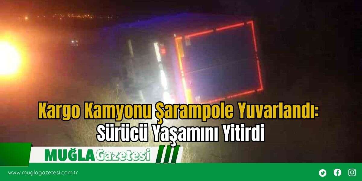 Kargo Kamyonu Şarampole Yuvarlandı: Sürücü Yaşamını Yitirdi