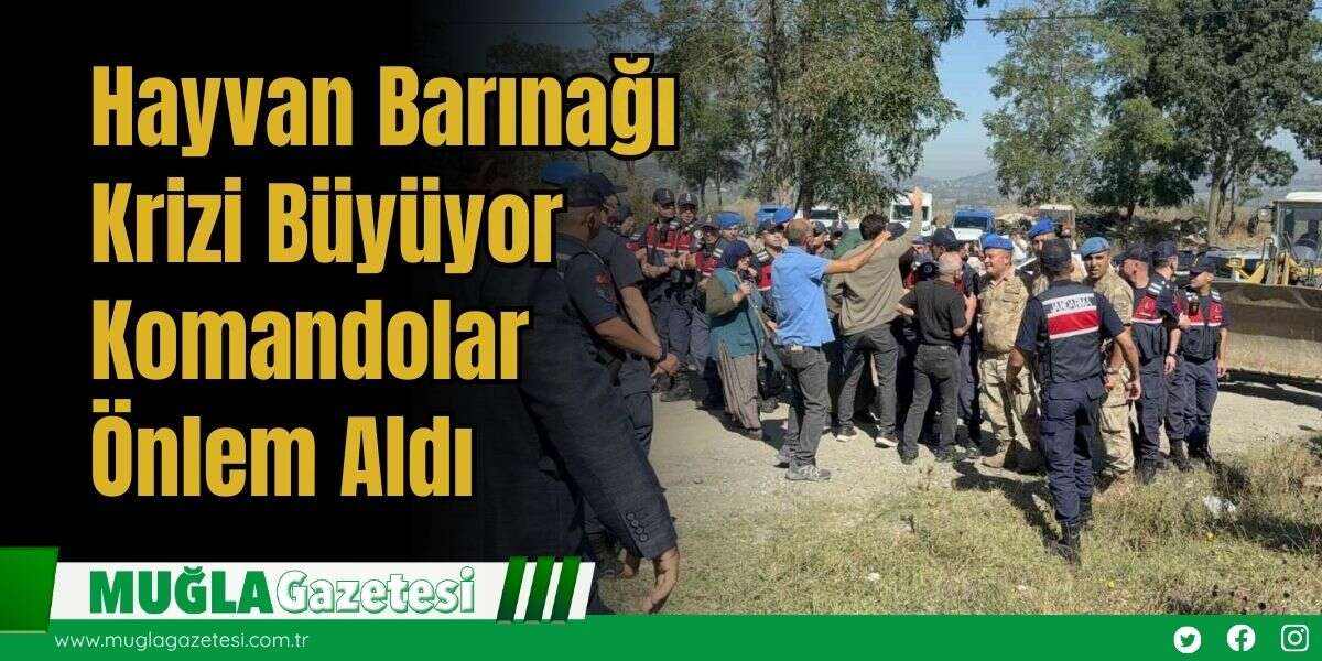 Hayvan Barınağı Krizi Büyüyor: Komandolar Önlem Aldı