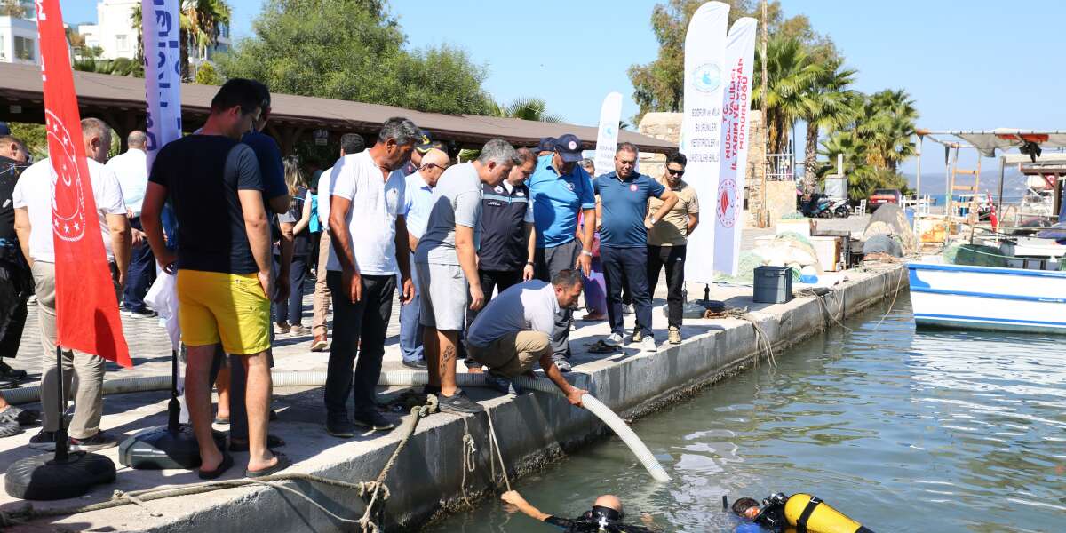 Milas Boğaziçi’nde 160 Bin Yavru Balık Denizle Buluştu