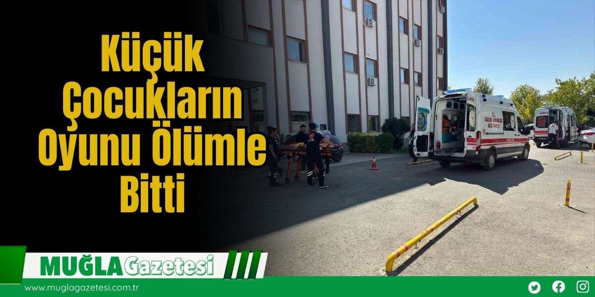 Küçük Çocukların Oyunu Ölümle Bitti