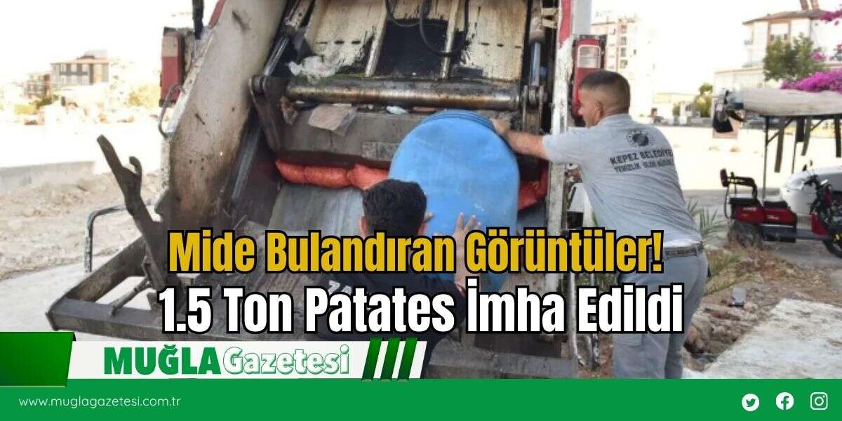 Mide Bulandıran Görüntüler! 1.5 Ton Patates İmha Edildi