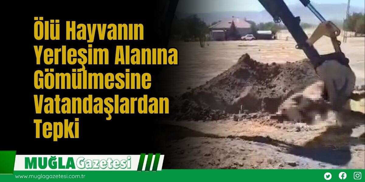 Ölü Hayvanın Yerleşim Alanına Gömülmesine Vatandaşlardan Tepki
