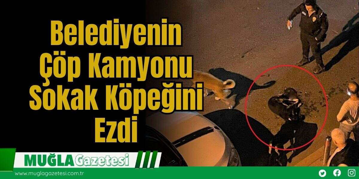 Belediyenin Çöp Kamyonu Sokak Köpeğini Ezdi