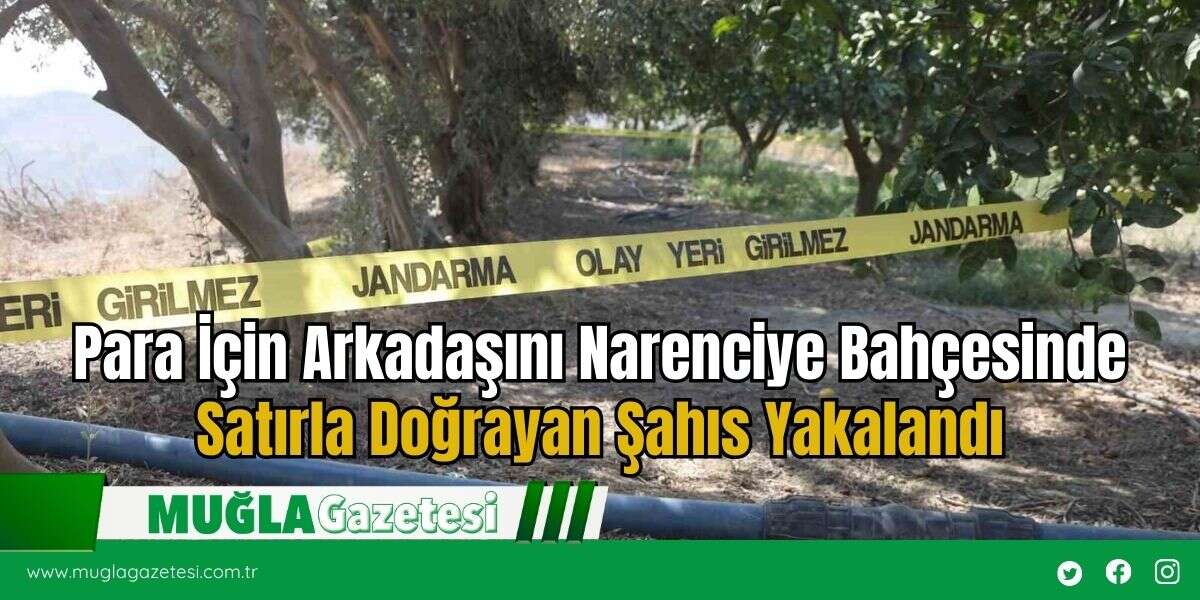 Para İçin Arkadaşını Narenciye Bahçesinde Satırla Doğrayan Şahıs Yakalandı