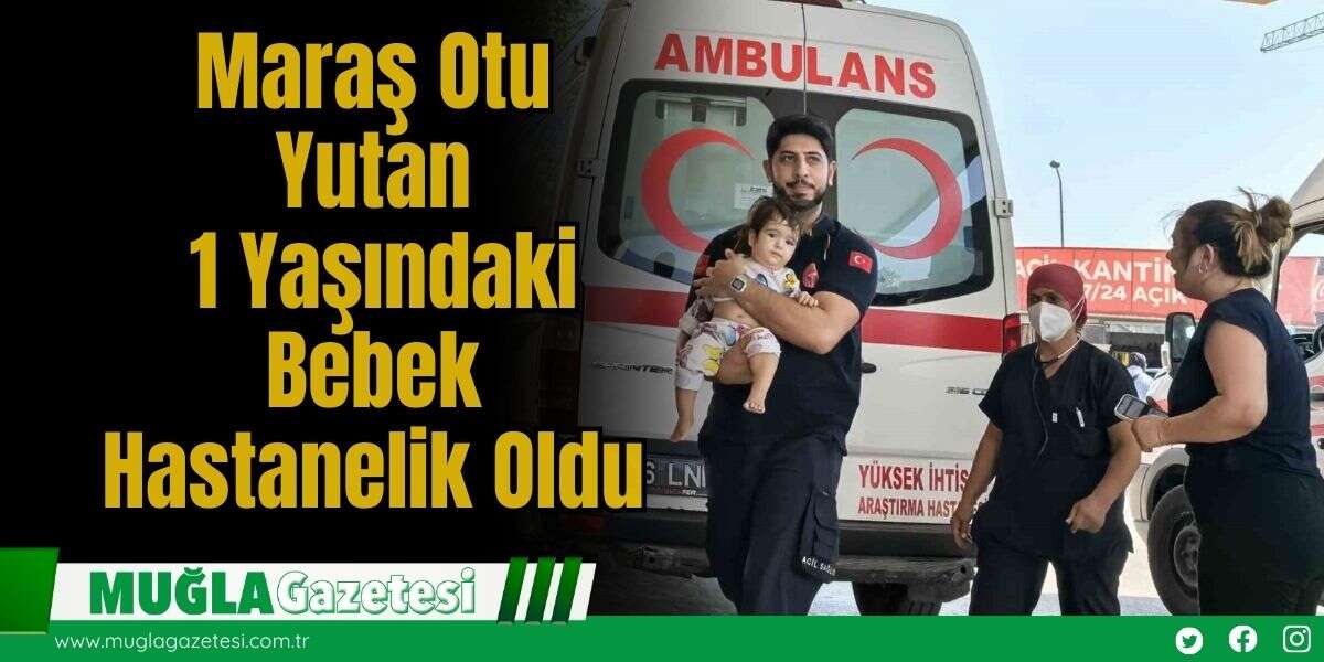 Maraş Otu Yutan 1 Yaşındaki Bebek Hastanelik Oldu