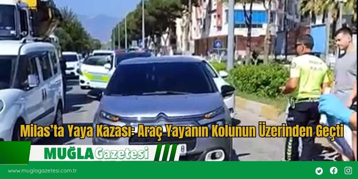 Milas’ta Yaya Kazası: Araç Yayanın Kolunun Üzerinden Geçti