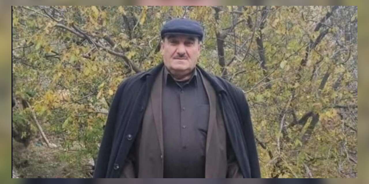 Ceviz Toplamak İçin Çıktığı Ağaçtan Düşen Eski Muhtar Hayatını Kaybetti